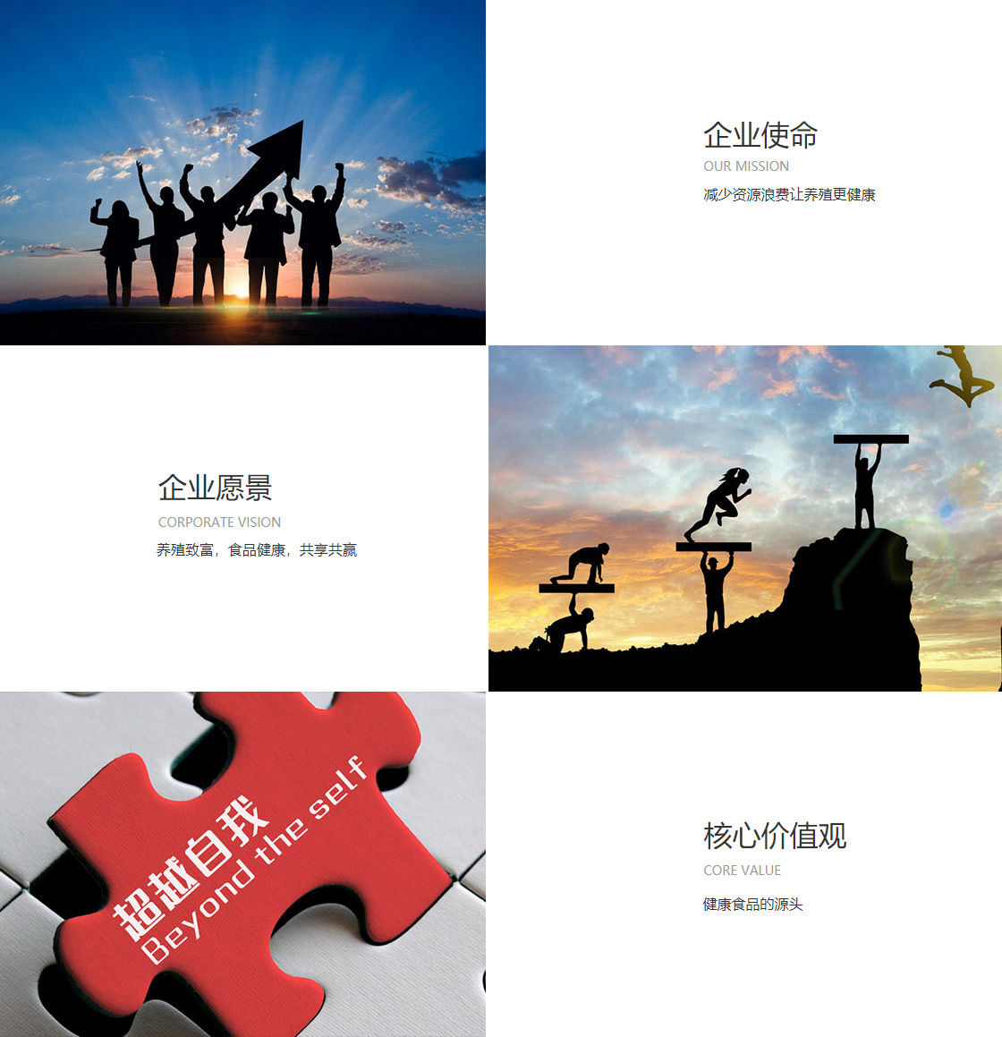 华体会官方网页版(图1)